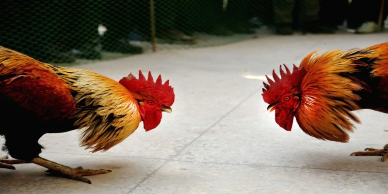 Cập nhật đủ thông tin