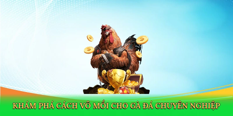 Khám phá cách vô mồi cho gà đá chuyên nghiệp