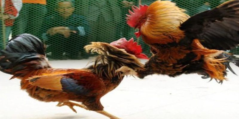 Quản lý vốn tài chính