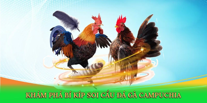 kham-pha-bi-kip-soi-cau-da-ga-campuchia-2