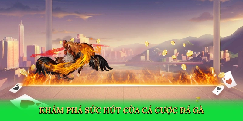 kham-pha-suc-hut-cua-ca-cuoc-da-ga-3