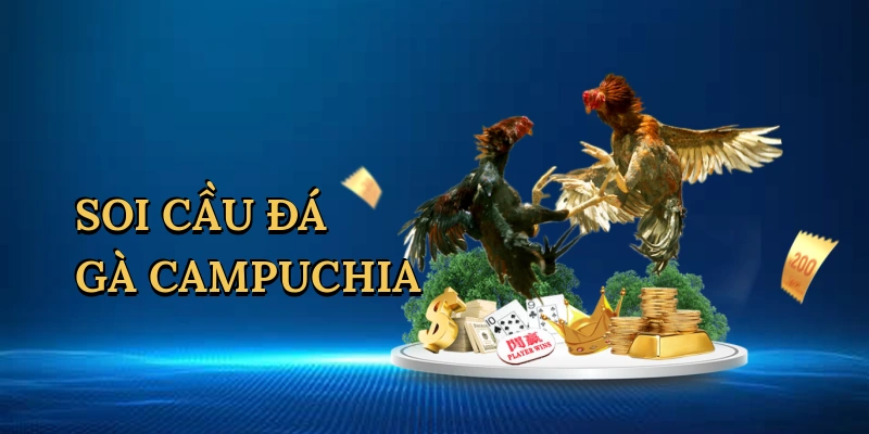 soi-cau-da-ga-campuchia-1
