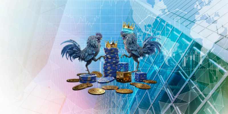 Các hình thức thi đấu phổ biến