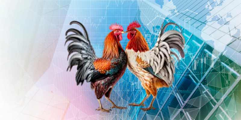 Góc nhìn tổng quan về đá gà Campuchia